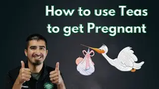 How to use Tea to get Pregnant | Fertility Teas Work