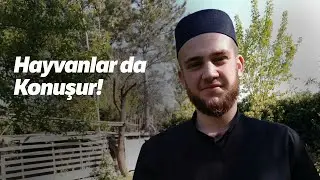 Bazen İnsanlarda Duymaz