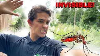 INVASIVE Asian Tiger Mosquitoes are HERE!