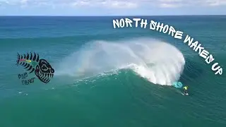 The North Shore wakes up- Wing Foiling on Oahu, November 2022