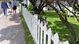 Horse head fence posts