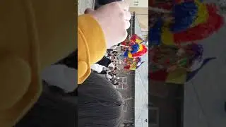 Capra din Oituz 2018-2019! (Cotonenii)