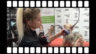 Секреты стрижки ниспадающей шерсти