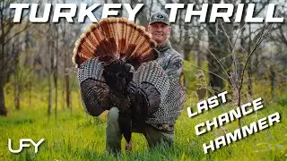 Turkey Hunting Illinois Thunder!  #turkeyhunting