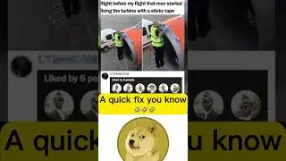 I just hope they donlt land on forest #memes #doge #shorts #meme #dogememe #funny