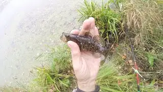 Неправильный первый лёд 2023 - 2024, ротан не пойман.