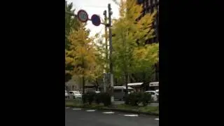 momiji on the street