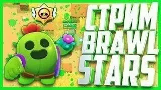Стрим по бравлику (Донат  описании)👇 #brawlstars , #nikita