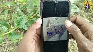 😭How To Download Sad Video Status | Sad Status Kahan se Download Kare | Sad Status App | Sad Status