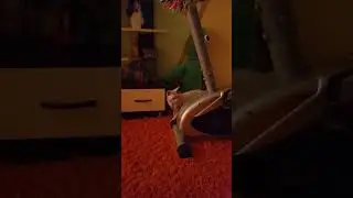 прям в звук 😂