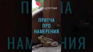 Притча со Смыслом | Три Лягушки | Мудрые Слова 