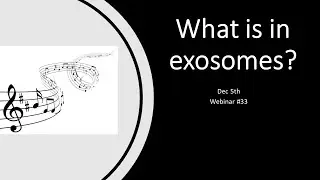 Exosomes 33  - What is in exosomes?