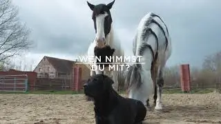 Messe Hund & Pferd 2019