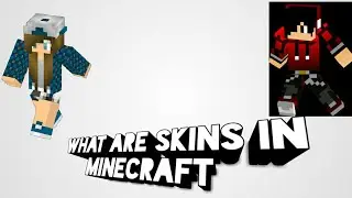 What are Skins In Minecraft