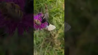Beautiful Nature 😍  One for All
