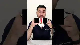Ecco perché al mattino siamo più alti #shorts