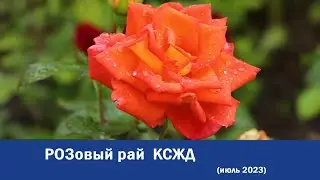 РОЗовый рай КСЖД