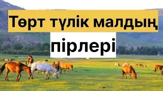 ТӨРТ ТҮЛІК МАЛДЫҢ ПІРЛЕРІ /  Шопан ата, Зеңгі баба, Ойсылқара, Сексек ата, Қамбар ата
