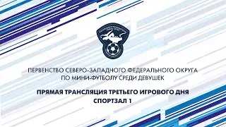 Первенство СЗФО по мини-футболу среди девушек. Зал №1. Третий игровой день
