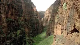 El Vega Life PachaMama /Lau Canaria