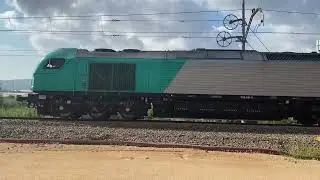 Transfesa freight train pulled by class 335 locomotive closing Castellbisbal station.