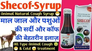 Shecof Syrup Coryza & Cold Best Benefits Cough Syrup //  कैसे उपयोग करना चाहिए