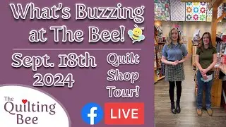 What’s Buzzing at The Bee 🐝  September 18th