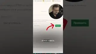 Как настроить рекламу на Wildberries?