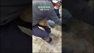 Uydan odam skeleti, bosh suyaklari topildi. U qotillik qurboni bo'lgan