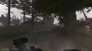 Stalker Anomaly electro mutants