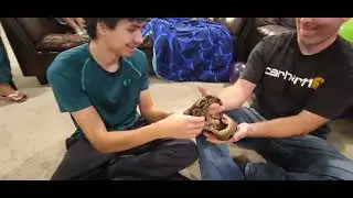 Birthday party with reptiles