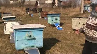 КАКОЙ ПЧЕЛОВОД ТАКОЙ И ОБЛЁТ
