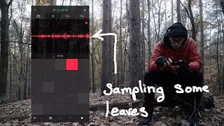 Ambient Soundscape in the Forest [Ableton Note + Vocals]