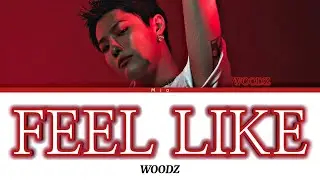 日本語字幕かなるび歌詞【Fell Like - WOODZ(조승연)】
