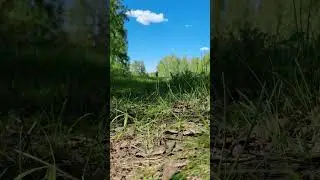 Покатушки по лесу👍👌🫶 