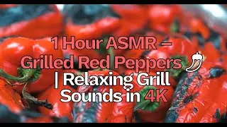1 Hour ASMR – Grilled Red Peppers on the BBQ 🌶️ Relaxing Grill Sounds in 4K