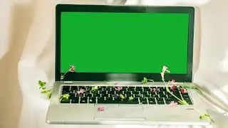 [No Copyright] Laptop Free green screen 