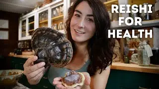 Foraging for Wild Reishi Mushrooms!