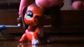 Bye