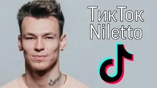 Тик Ток Niletto