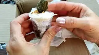 Посылка с фиалками. Распаковка.