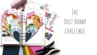 The Dust Bunny Challenge with Kira