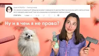Шпиц - уход, содержание, груминг. Вычесывание