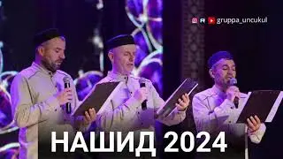 Новый Мавлид | Группа Унцукуль | 2024 #группаунцукуль
