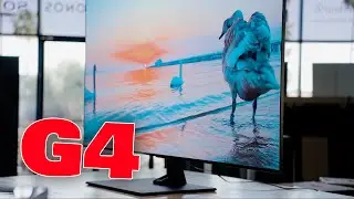 THE G4 OLED | SO BRIGHT IT DOESN'T MAKE SENSE | Review