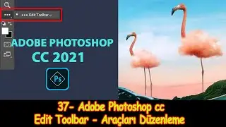 37- Adobe Photoshop cc Dersleri - Edit Toolbar - Araclari Duzenleme