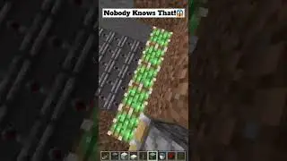 Craziest End Ever ! Minecraft #shorts #viral
