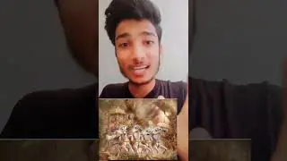 Jai shree krishna 🙏