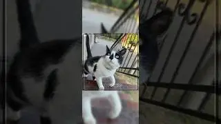 ☆Эдит Малыш☆  |заказ| #анукадавайка #малыш