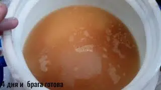 Кальвадос на диких дрожжах. Полезная практика или неудачный эксперимент!
